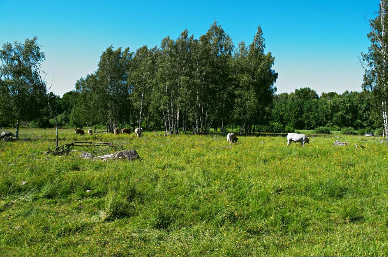 Gäststugan Skara Exteriör bild