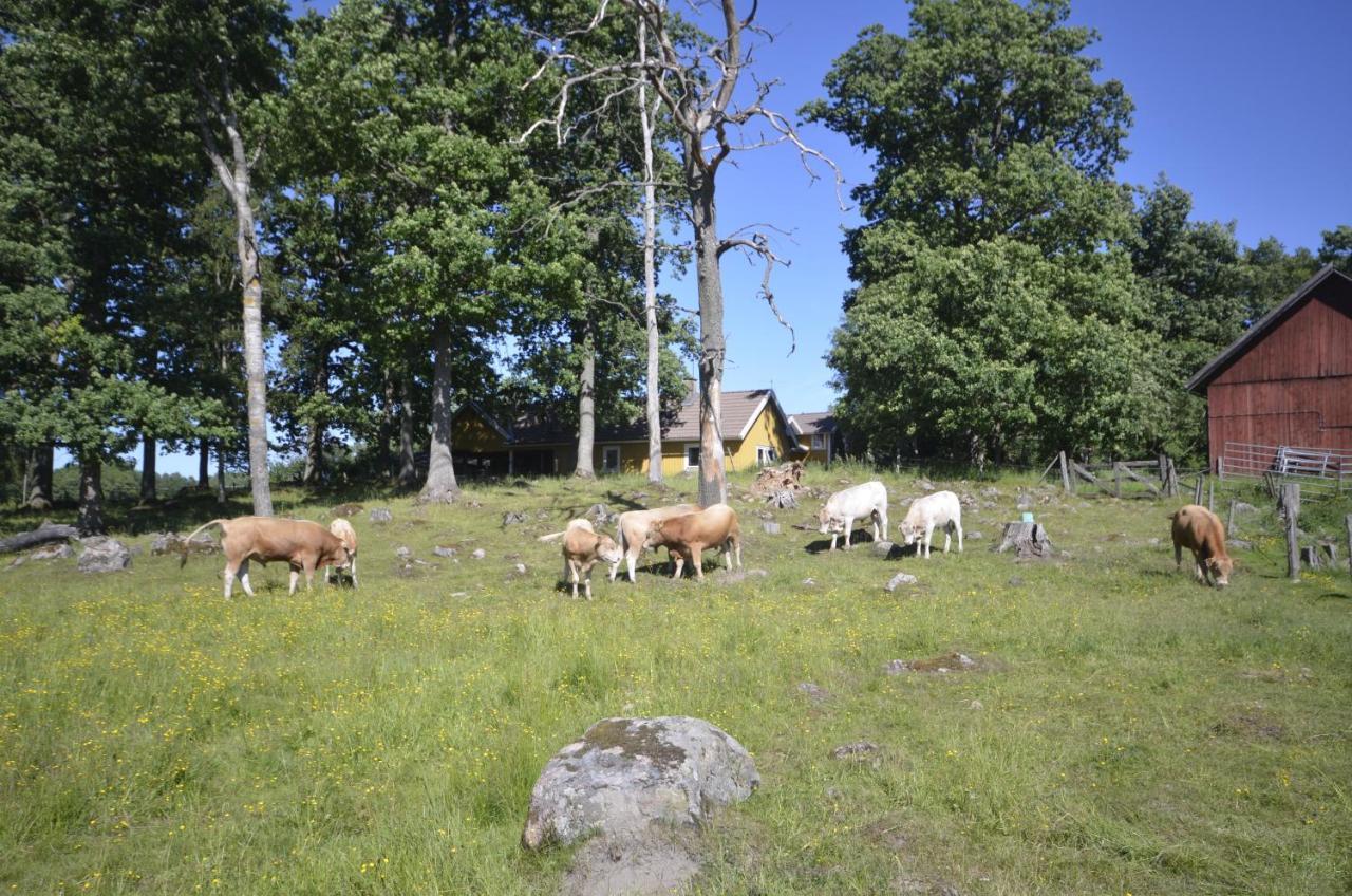 Gäststugan Skara Exteriör bild