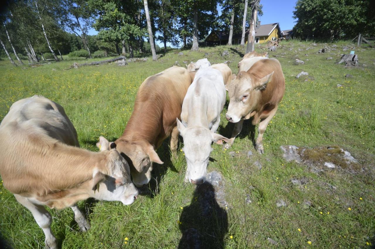 Gäststugan Skara Exteriör bild